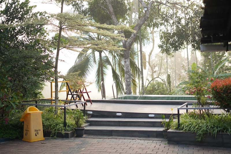 Brookland Estate Wayanad image