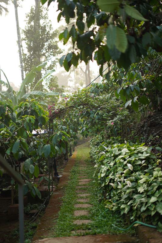 Brookland Estate Wayanad image