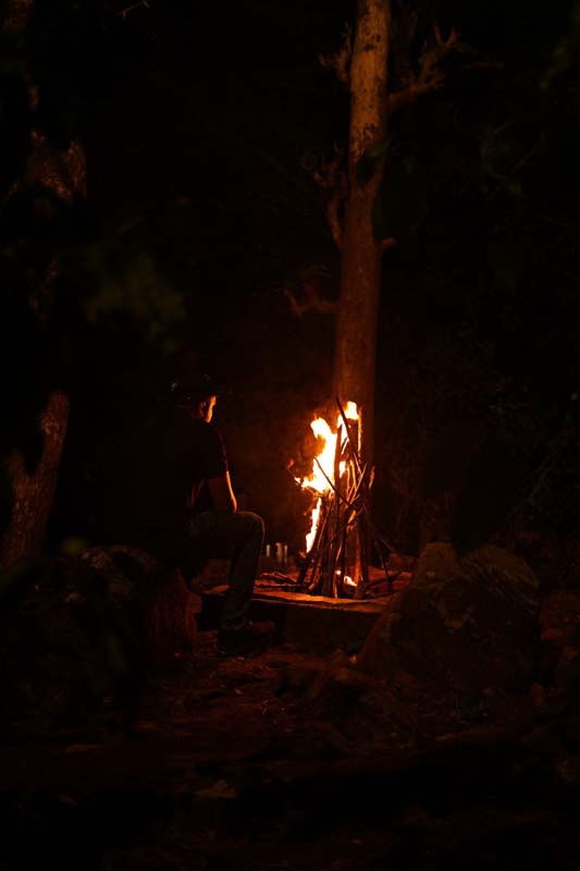 Brookland Estate Wayanad image