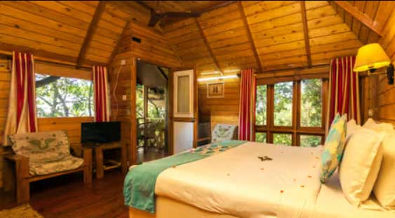 Tree House
