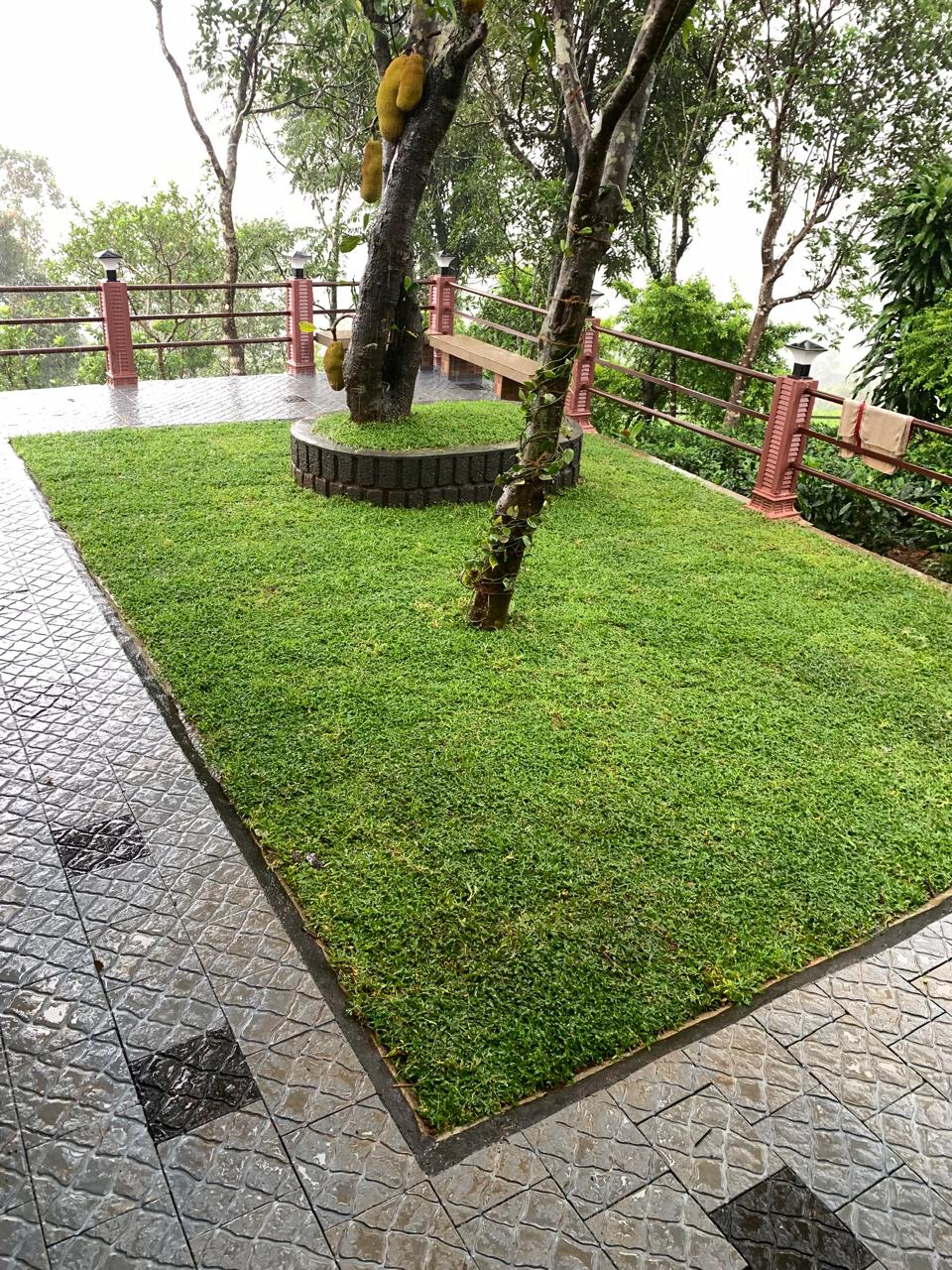 Greenshore Villa Vagamon image