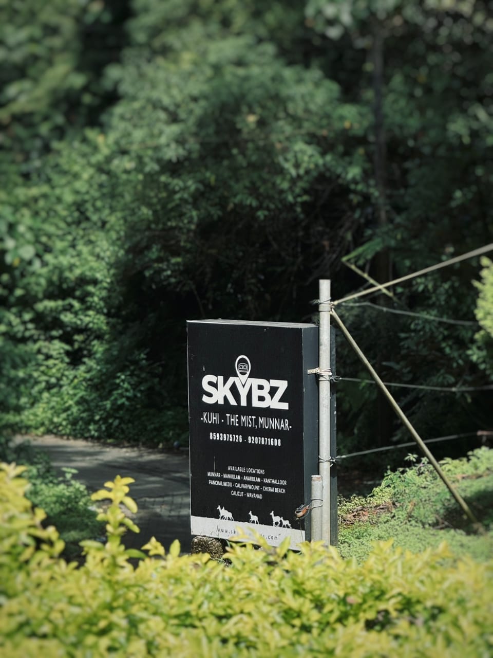 Skybz Kuhi The Mist image