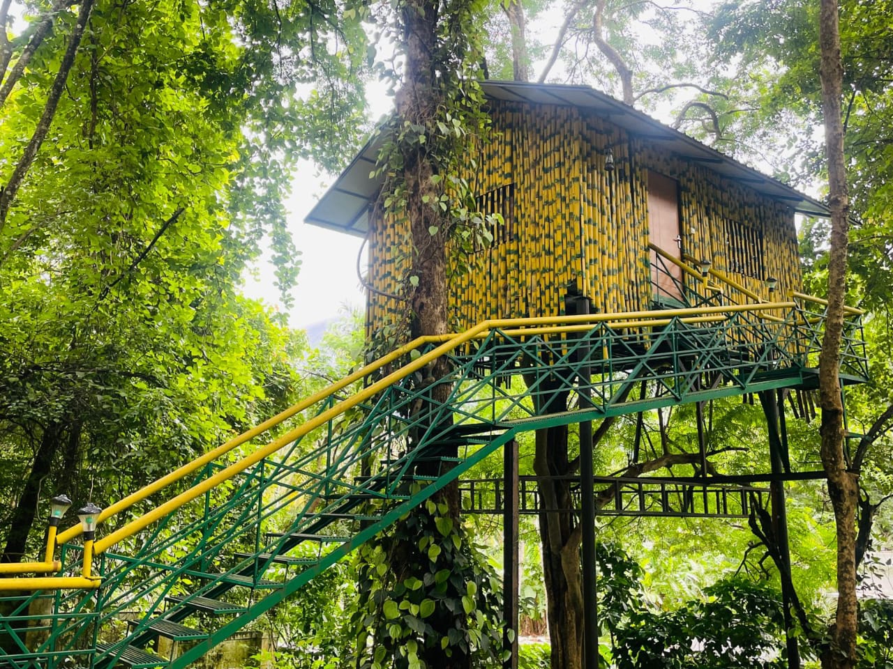 Treetop Resort Chindekki Attappadi