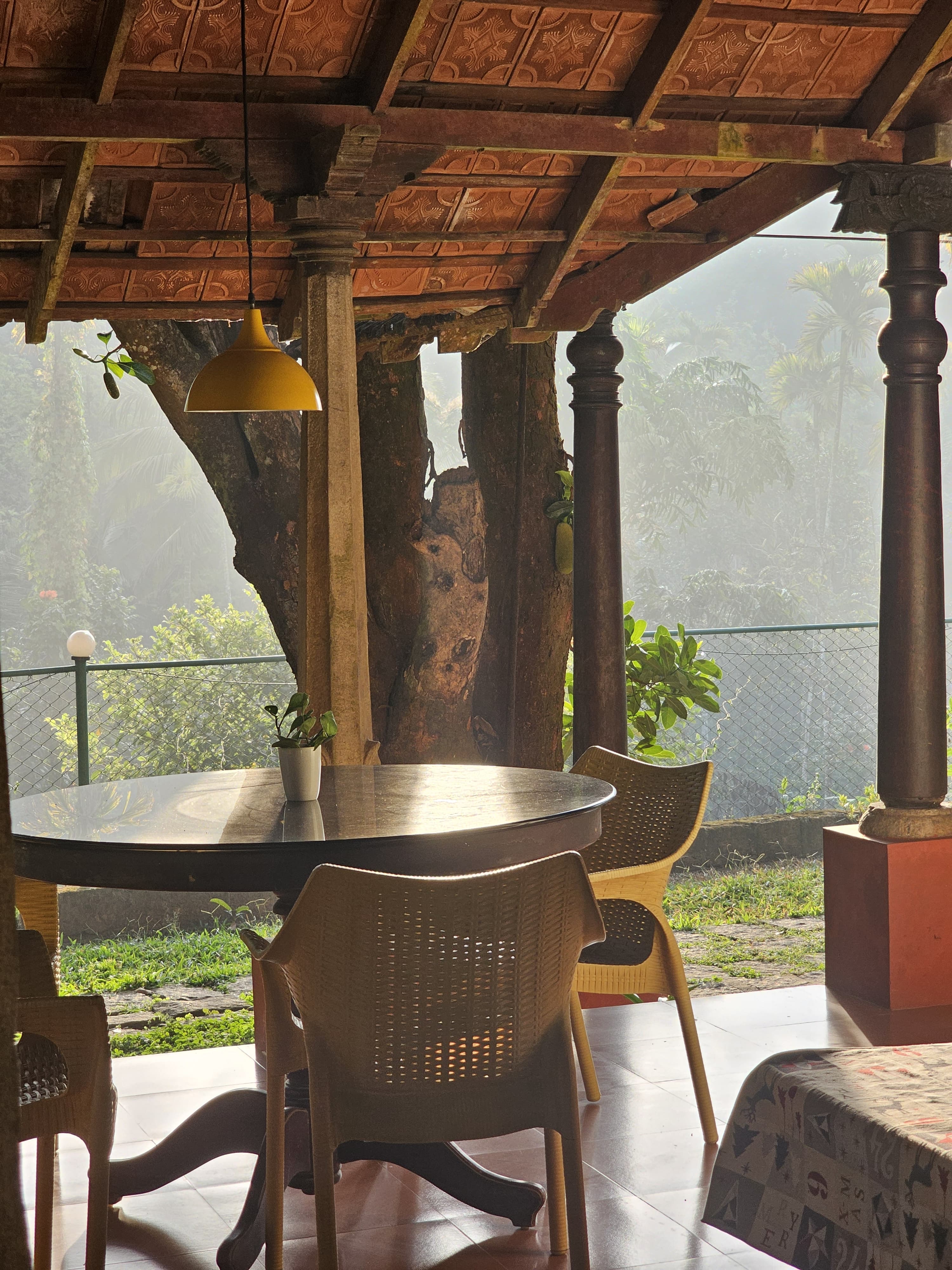 Turmerica Homestay image