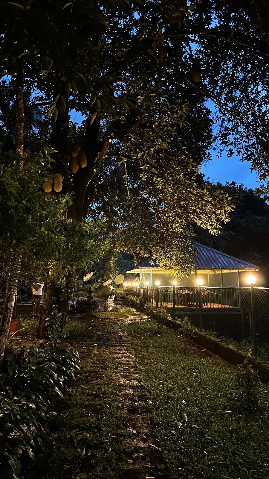 Turmerica Homestay image