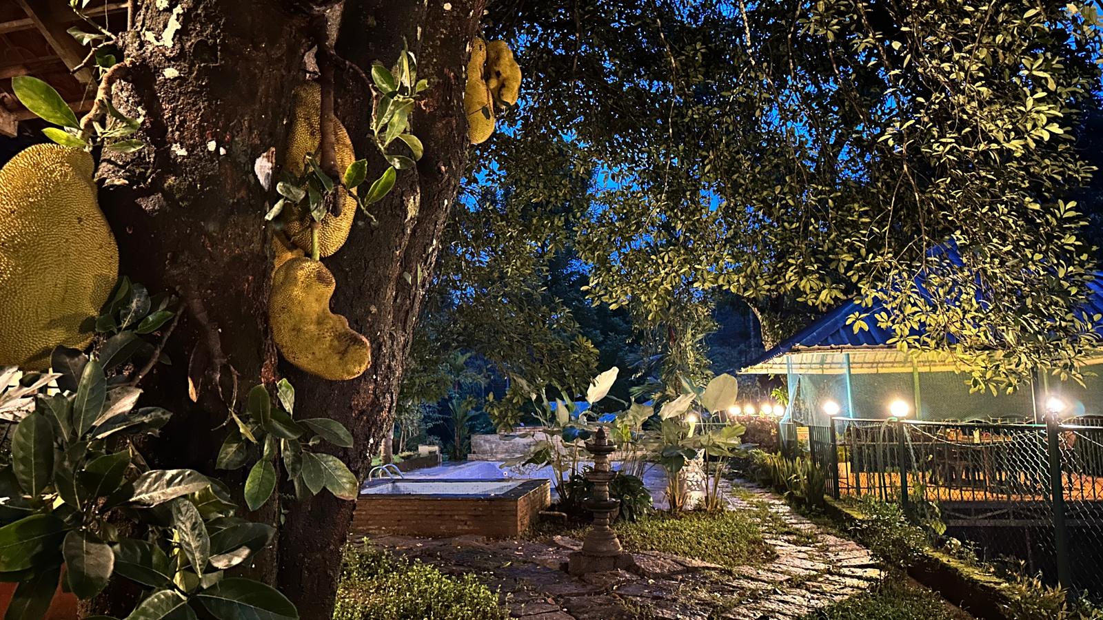 Turmerica Homestay image