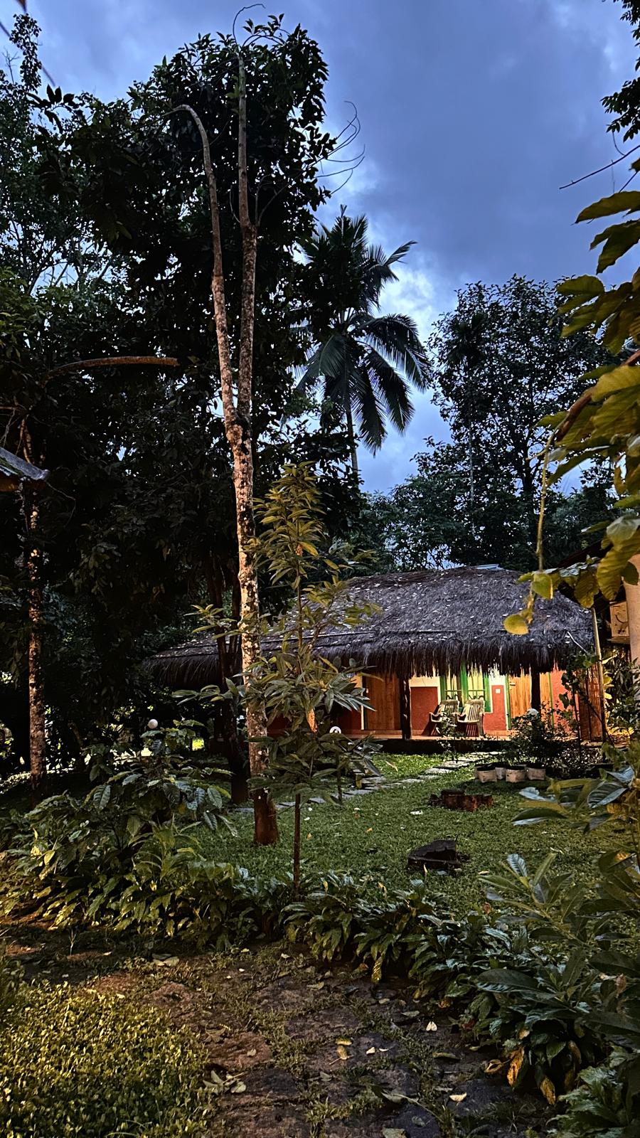 Turmerica Homestay image