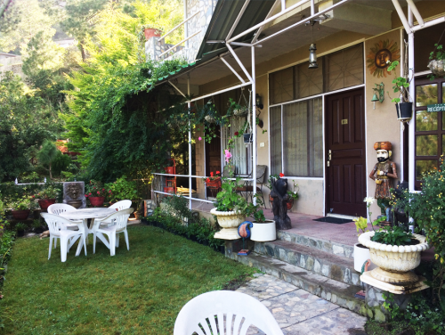 Front View Open Garden