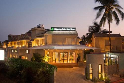 palms
