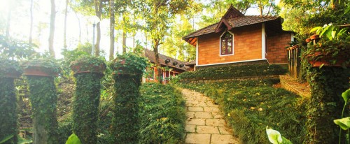 Misty Woods Resorts