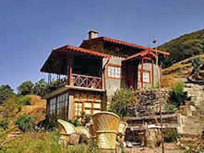Jungle Lore Birding lodge