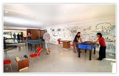 indoor game