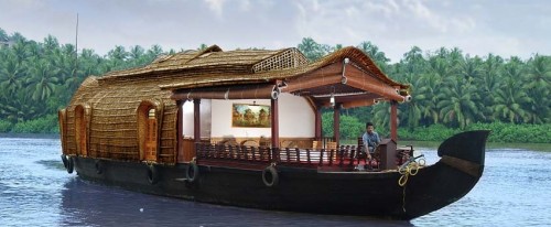 Kadavu Resort & Ayurveda Centre1
