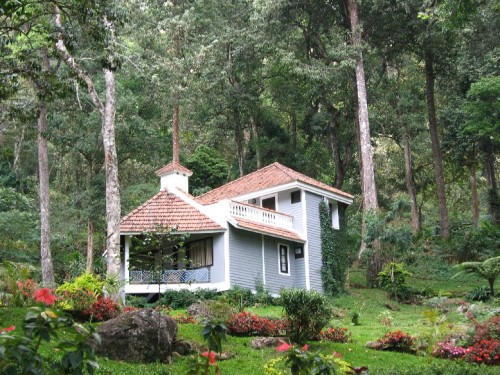 The Tall Trees Resorts